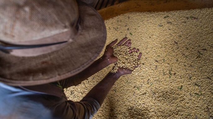 Volume representa recuo de 3,8% em relação à estimativa anterior.