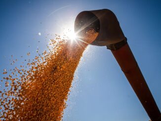 Estimativa de junho refere-se a cereais, leguminosas e oleaginosas.