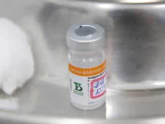 Lote encomendado pela pasta da Saúde deve ser entregue em setembro.