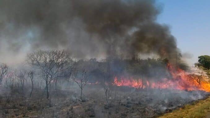 Decisão está publicada no Diário Oficial de hoje.