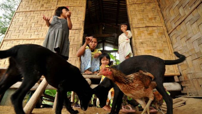 Dia Mundial de Combate à Raiva será celebrado quarta-feira (28). Dia Mundial de Combate à Raiva será celebrado quarta-feira (28).