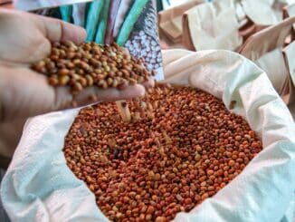 Agricultura Familiar de Camaçari