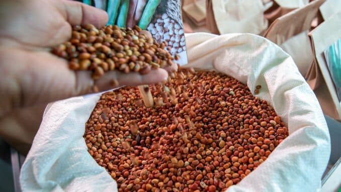 Agricultura Familiar de Camaçari